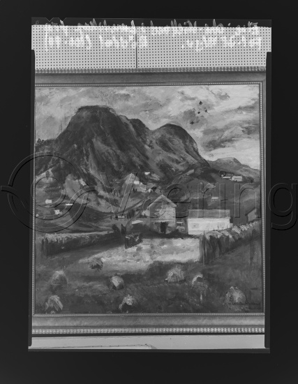 Glassplater og negativ film