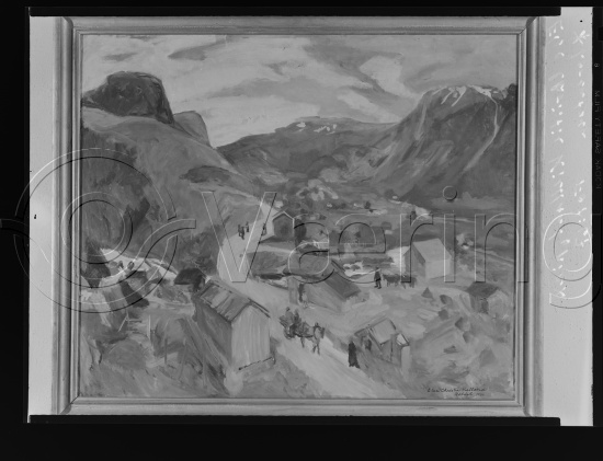 Glassplater og negativ film