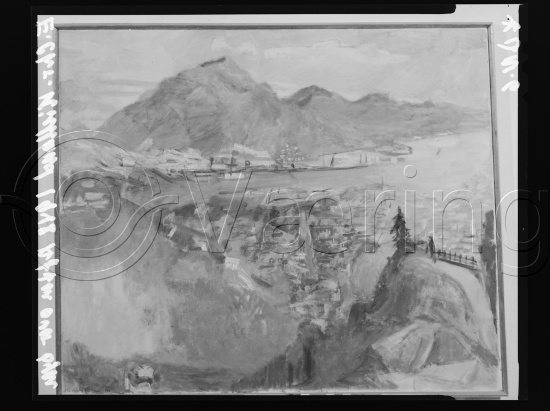 Glassplater og negativ film