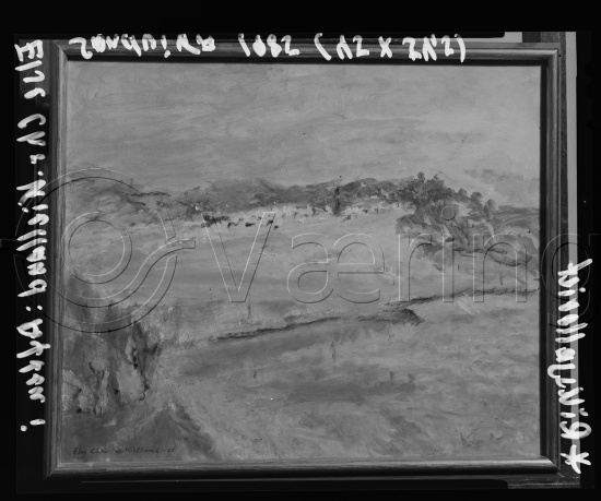 Glassplater og negativ film