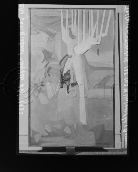 Glassplater og negativ film