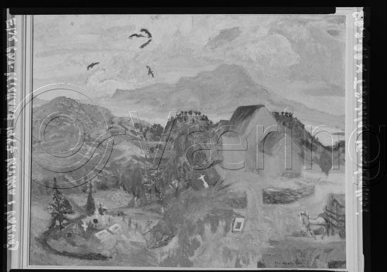 Glassplater og negativ film