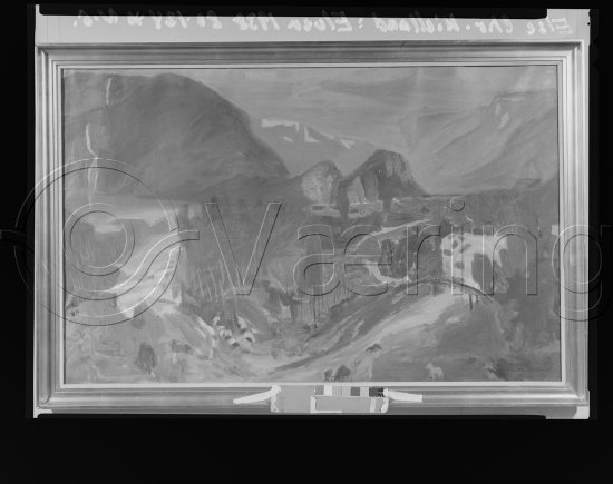 Glassplater og negativ film