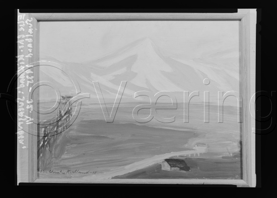 Glassplater og negativ film