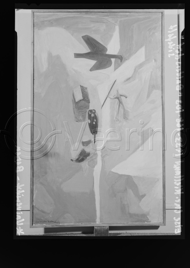 Glassplater og negativ film