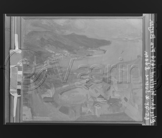 Glassplater og negativ film