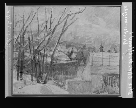 Glassplater og negativ film