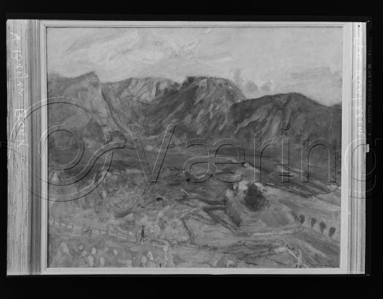 Glassplater og negativ film