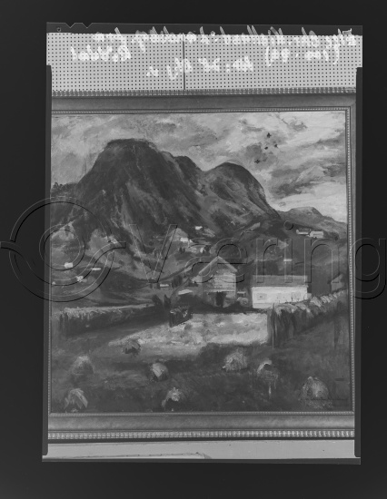 Glassplater og negativ film