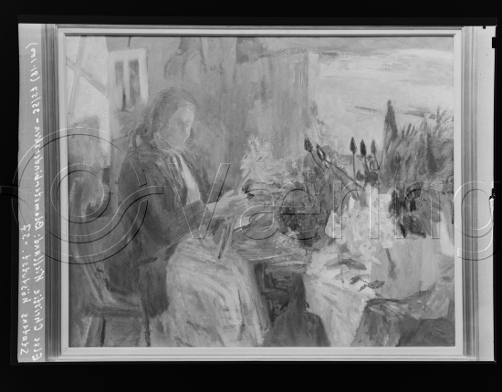 Glassplater og negativ film