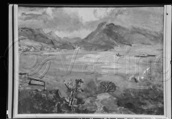 Glassplater og negativ film