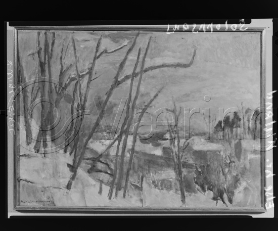 Glassplater og negativ film