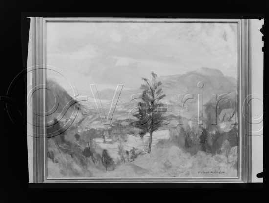 Glassplater og negativ film