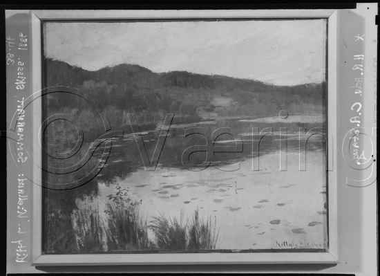 Glassplate og negativ film
