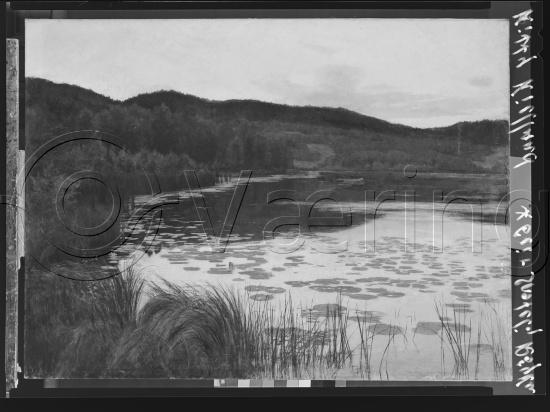 Glassplate og negativ film