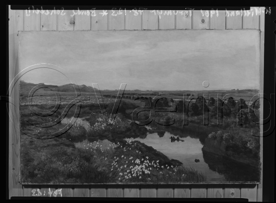 Glassplate og negativ film