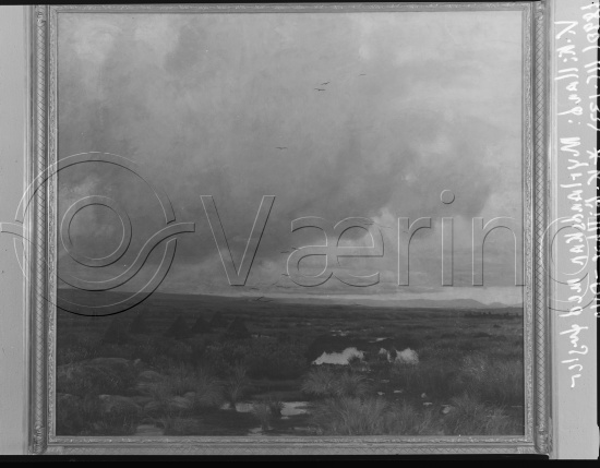 Glassplate og negativ film