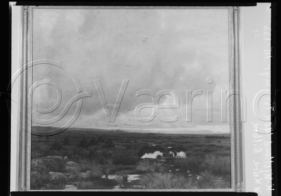 Glassplate og negativ film