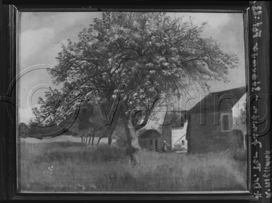 Glassplate og negativ film
