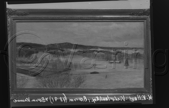 Glassplate og negativ film