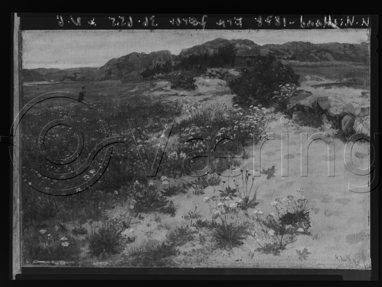 Glassplate og negativ film