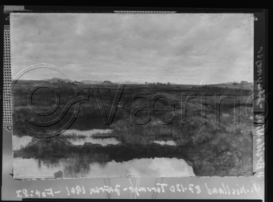Glassplate og negativ film