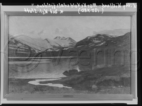 Glassplate og negativ film