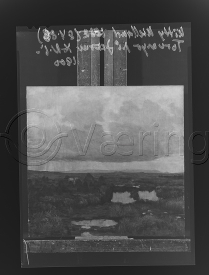 Glassplate og negativ film