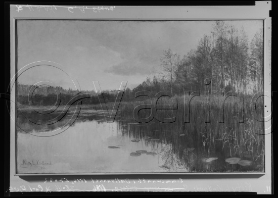 Glassplate og negativ film