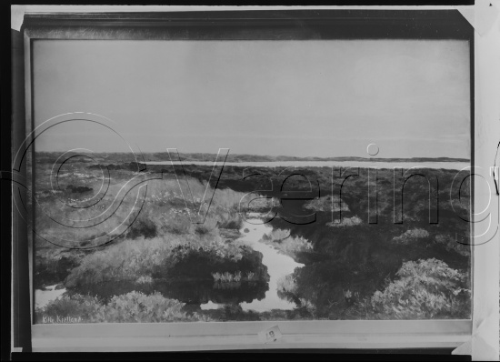 Glassplate og negativ film