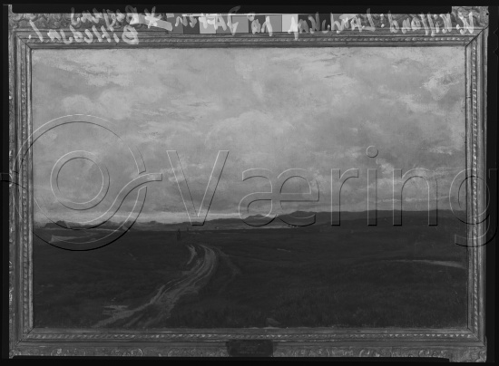 Glassplate og negativ film