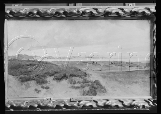 Glassplate og negativ film