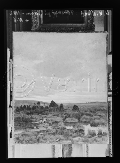 Glassplate og negativ film