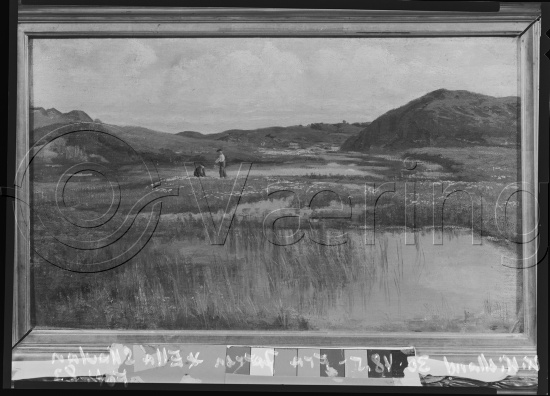 Glassplate og negativ film
