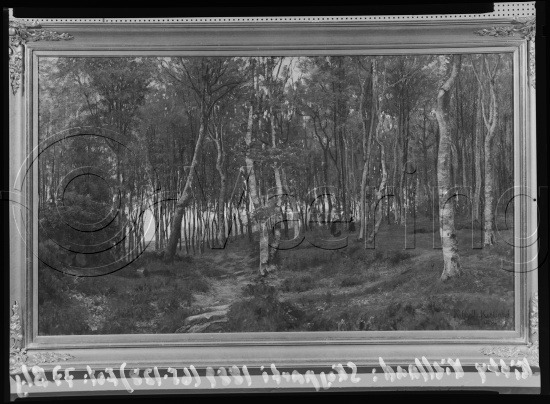 Glassplate og negativ film