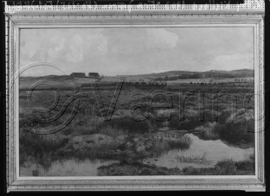 Glassplate og negativ film