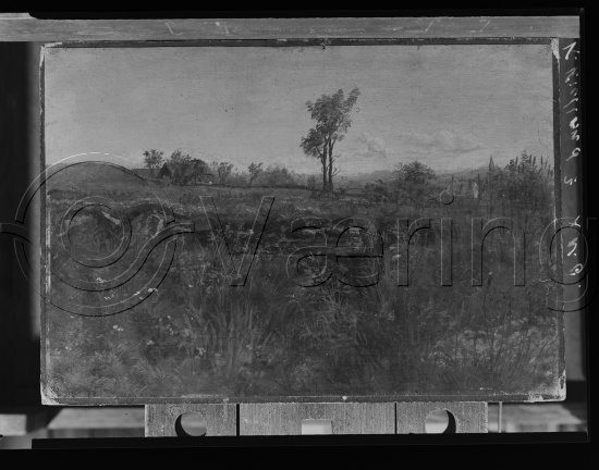 Glassplate og negativ film