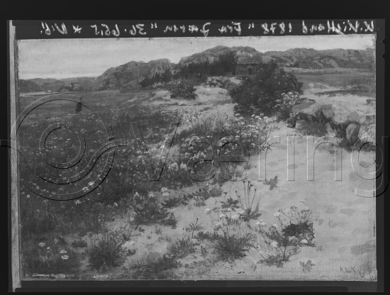 Glassplate og negativ film