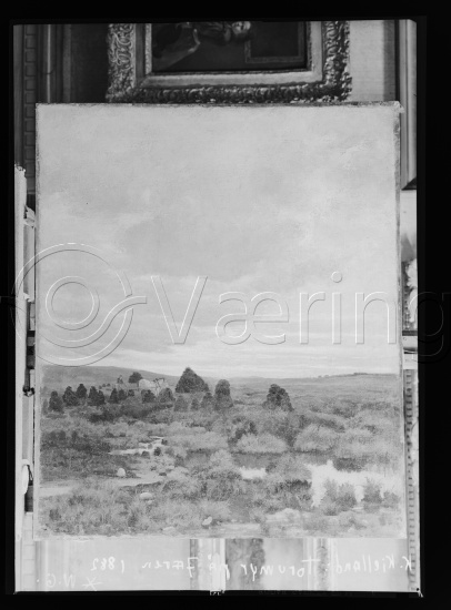 Glassplate og negativ film
