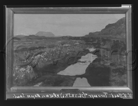 Glassplate og negativ film