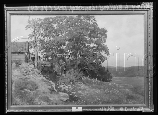 Glassplate og negativ film