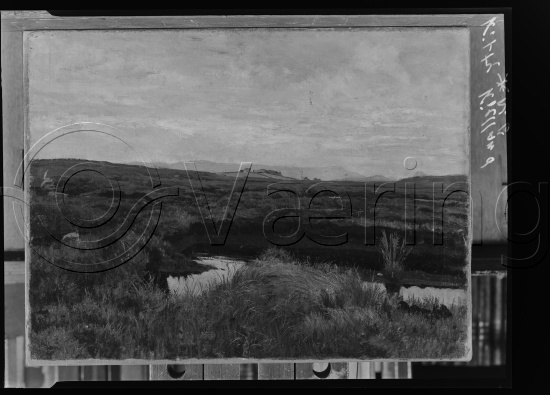 Glassplate og negativ film