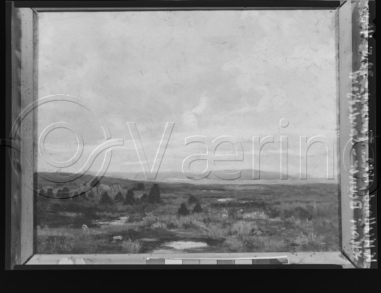 Glassplate og negativ film