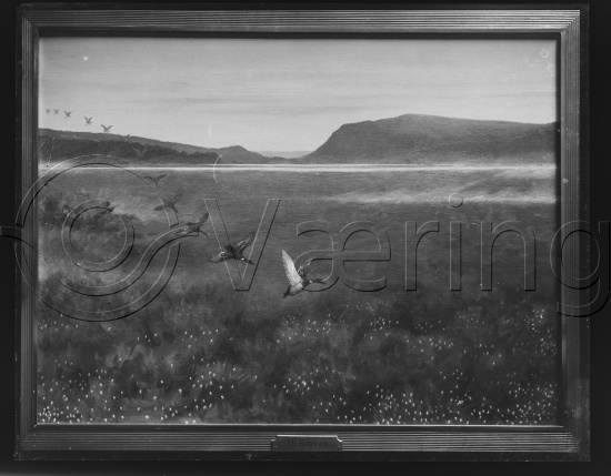 Glassplate