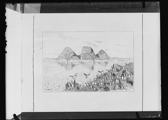 Glassplate