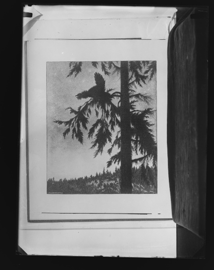 Glassplate
