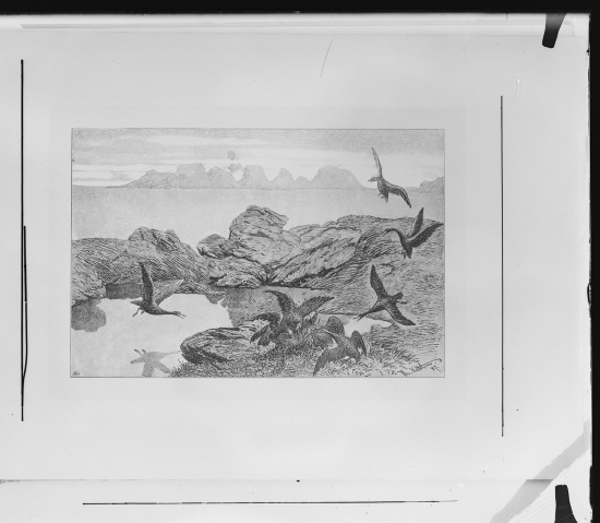 Glassplate