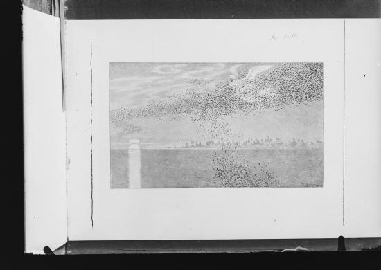 Glassplate