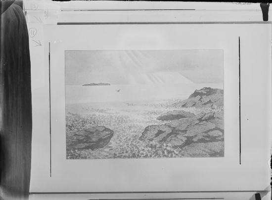 Glassplate