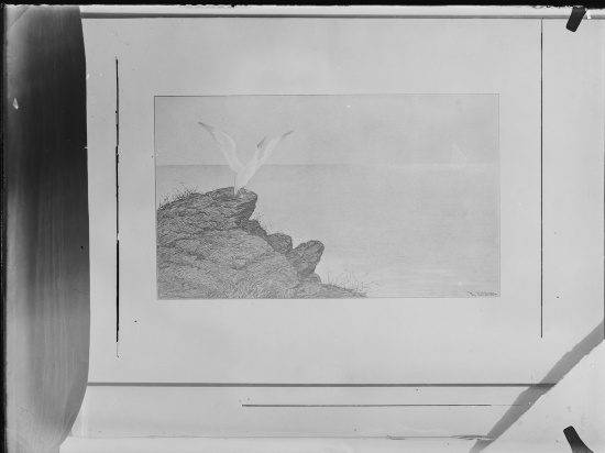 Glassplate
